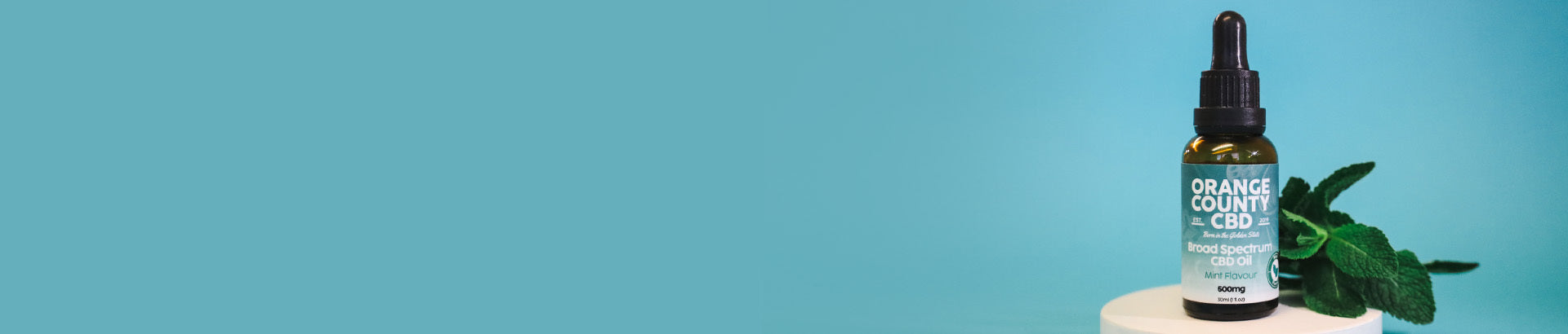 CTA Banner Image