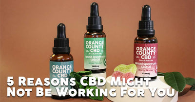 Blog Article Image