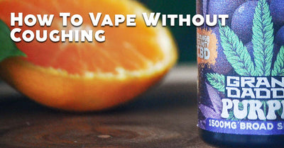 Blog Article Image