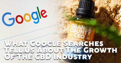 Blog Article Image