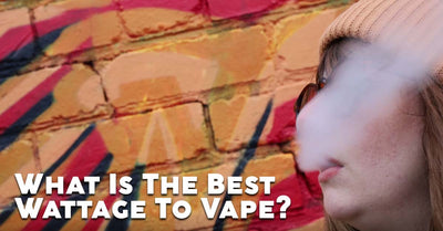 Blog Article Image