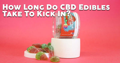 Blog Article Image