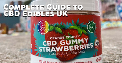 Blog Article Image