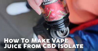 Blog Article Image