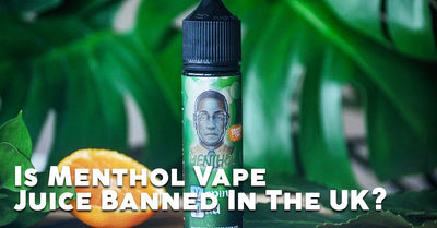 Blog Article Image