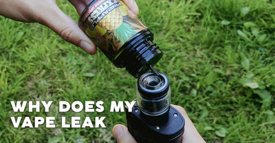 Blog Article Image